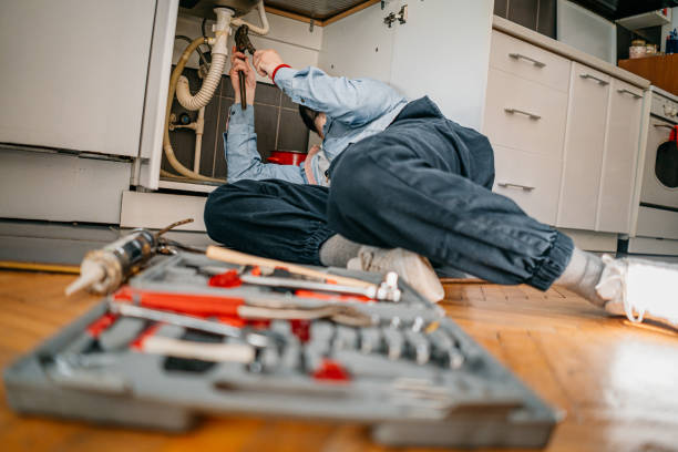 Best Residential Plumbing Services  in Monticello, IN